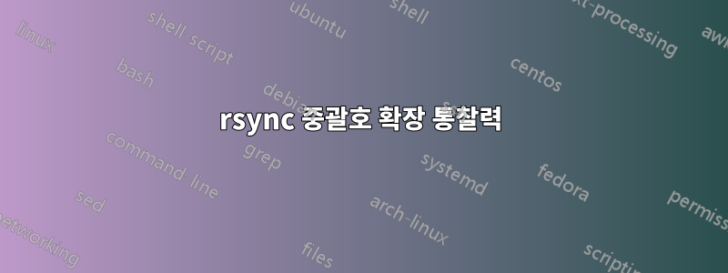 rsync 중괄호 확장 통찰력
