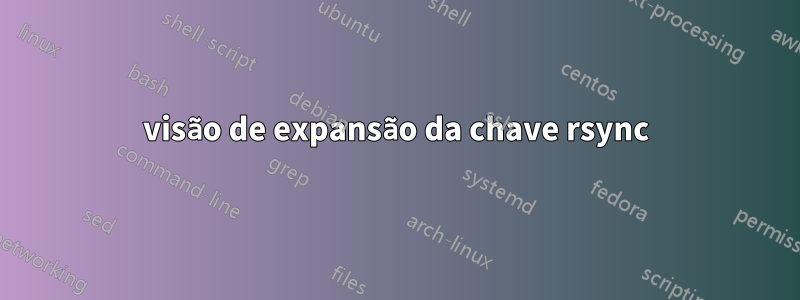 visão de expansão da chave rsync