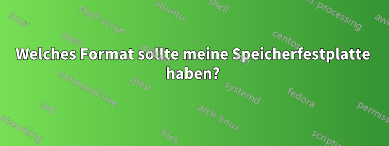 Welches Format sollte meine Speicherfestplatte haben?